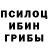 Галлюциногенные грибы Magic Shrooms niko davtyan