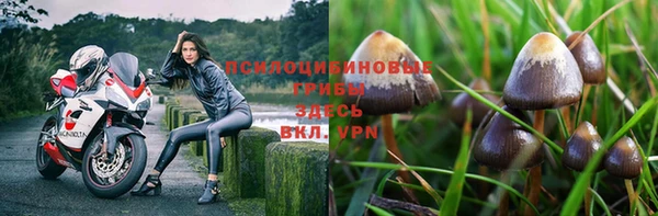 не бодяженный Нея