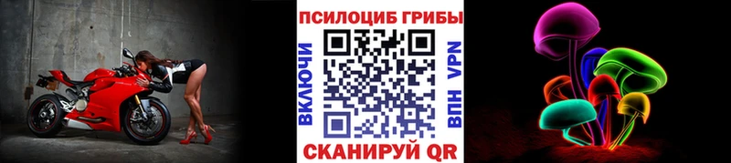 Галлюциногенные грибы GOLDEN TEACHER  даркнет клад  Отрадная 